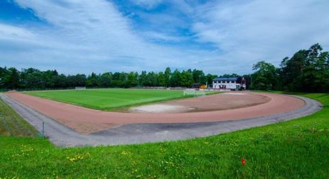 Erlachstadion