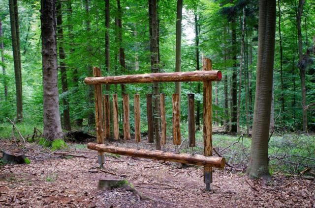 Walderlebnispfad
