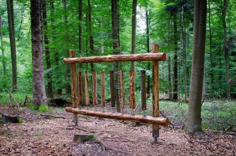 Walderlebnispfad